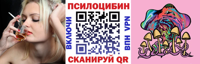 цена   Сарапул  Галлюциногенные грибы Psilocybe 